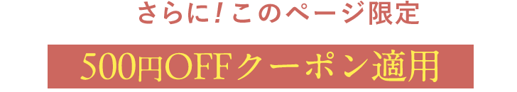 さらに!このページ限定500円OFFクーポン適用