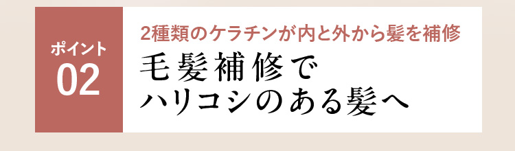 ポイント02 2種類のケラチンが内と外から髪を補修 毛髪補修でハリコシのある髪へ