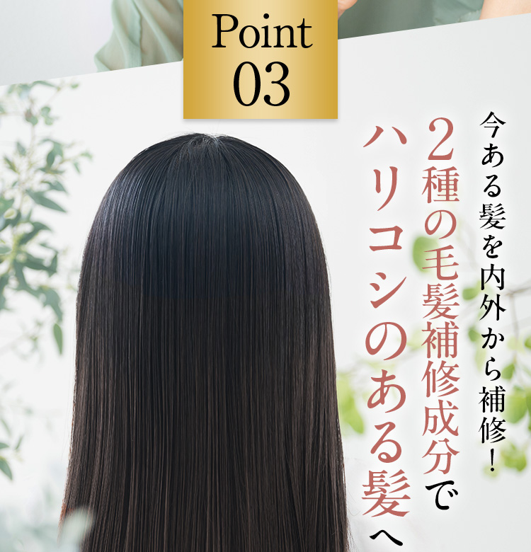 Point03 今ある髪を内外から補修!2種の毛髪補修成分でハリコシのある髪へ