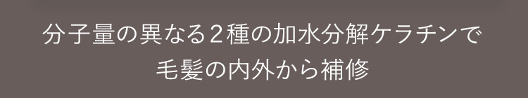 分子量の異なる２種の加水分解ケラチンで毛髪の内外から補修