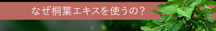 なぜ桐葉エキスを使うの？