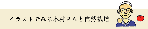 イラストでみる木村さんと自然栽培