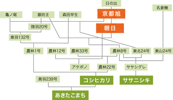 「朝日」のルーツ