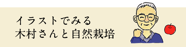 イラストでみる木村さんと自然栽培