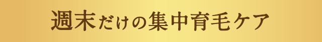 週末だけの集中育毛ケア