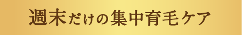 週末だけの集中育毛ケア