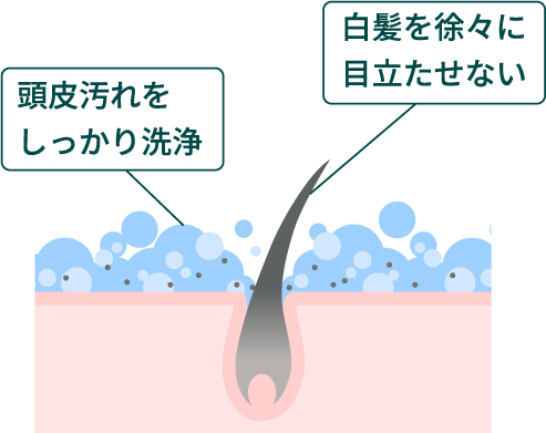 桐炭による吸着効果でいきいきとした頭皮環境に