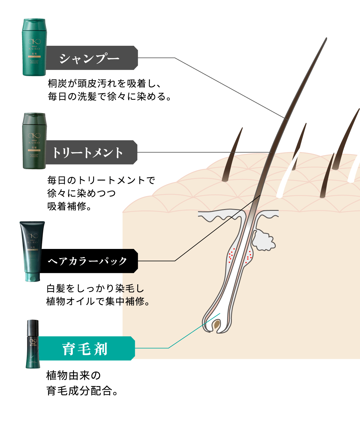 シャンプー：桐炭が頭皮汚れを吸着し、毎日の洗髪で徐々に染める。　トリートメント：毎日のトリートメントで徐々に染めつつ吸着補修。　育毛剤：植物由来の育毛成分配合。　ヘアカラーパック：白髪をしっかり染毛し植物オイルで集中補修。