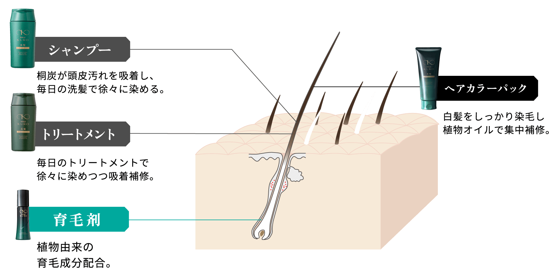 シャンプー：桐炭が頭皮汚れを吸着し、毎日の洗髪で徐々に染める。　トリートメント：毎日のトリートメントで徐々に染めつつ吸着補修。　育毛剤：植物由来の育毛成分配合。　ヘアカラーパック：白髪をしっかり染毛し植物オイルで集中補修。